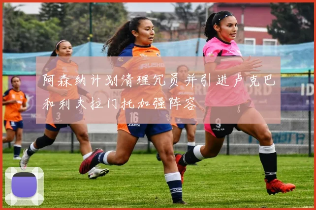 阿森纳计划清理冗员并引进卢克巴和利夫拉门托加强阵容
