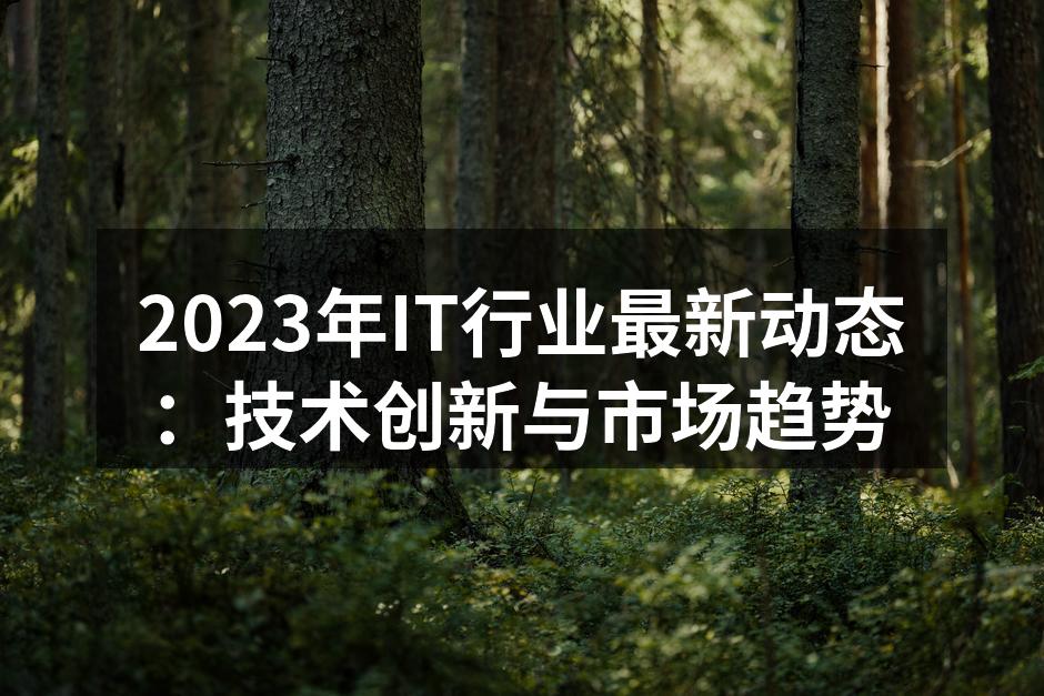 2023年IT行业动态分析
