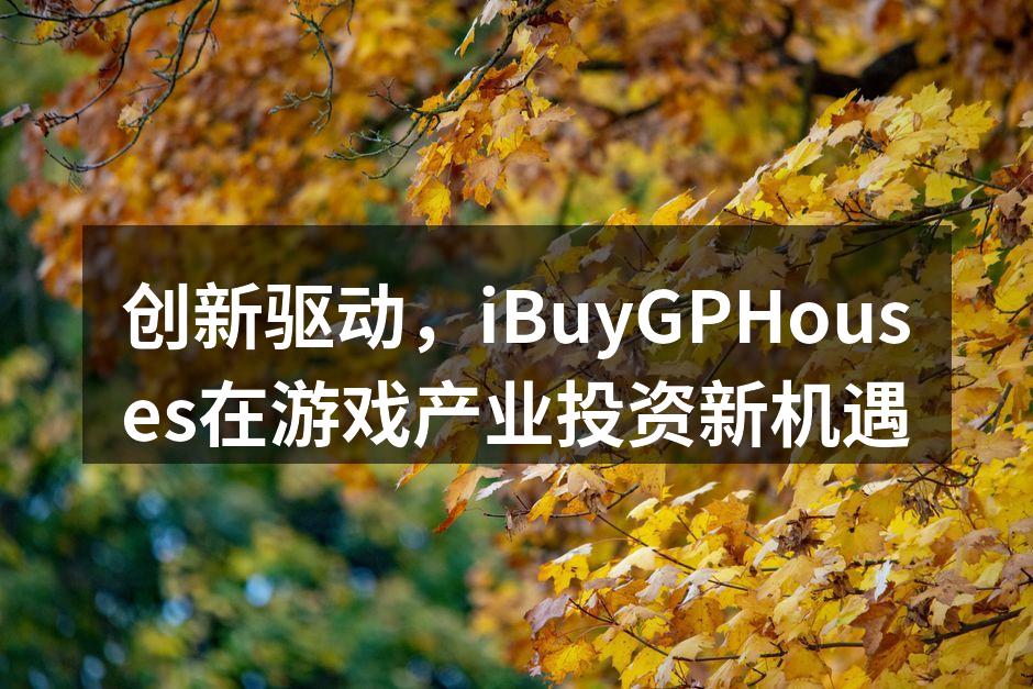 iBuyGPHouses团队探讨游戏投资策略